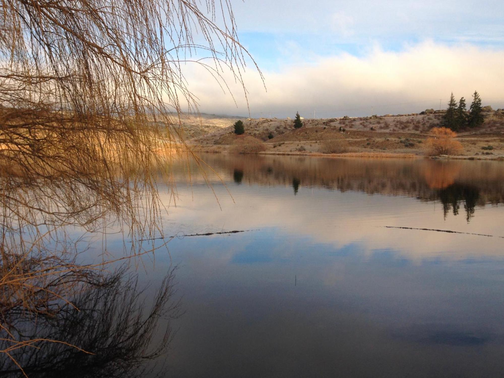 Lye Bow Lake Suite Alexandra Luaran gambar