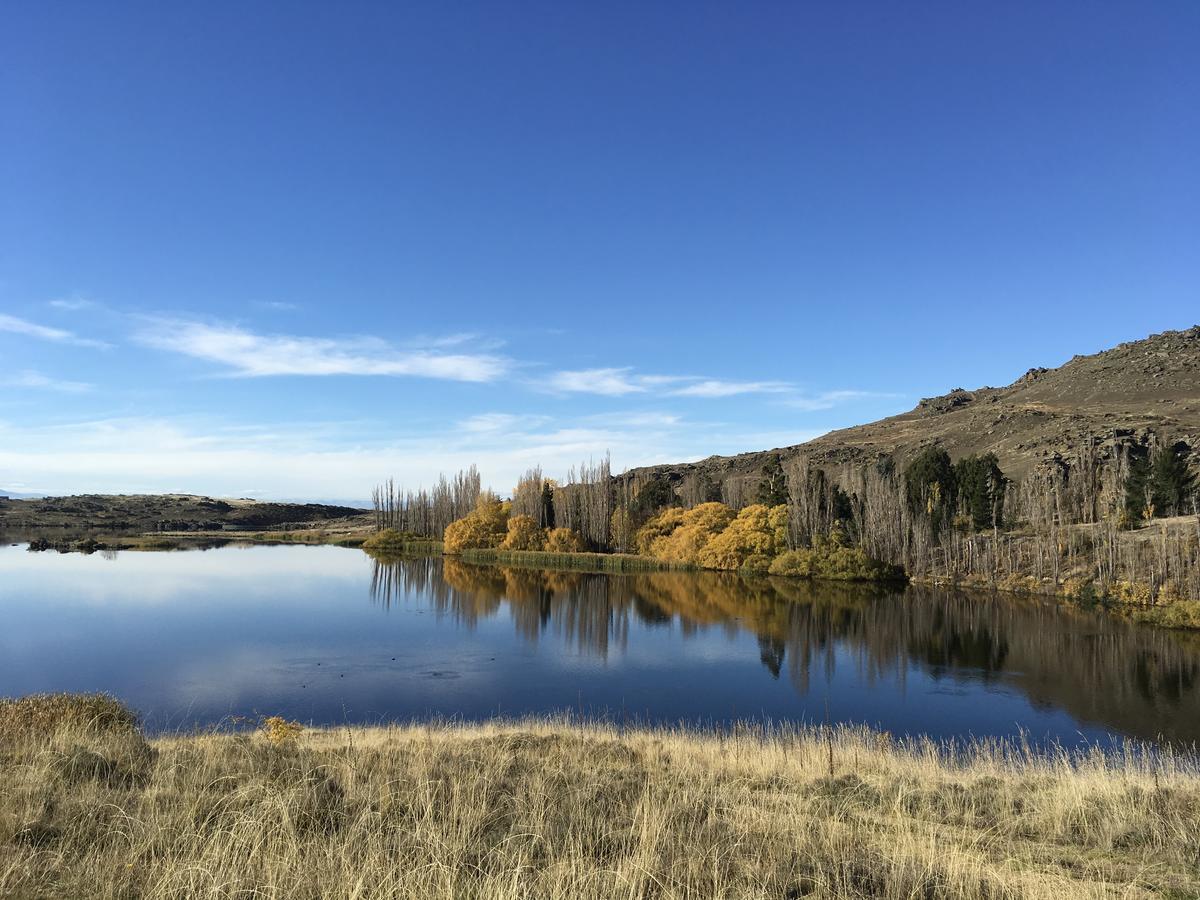 Lye Bow Lake Suite Alexandra Luaran gambar